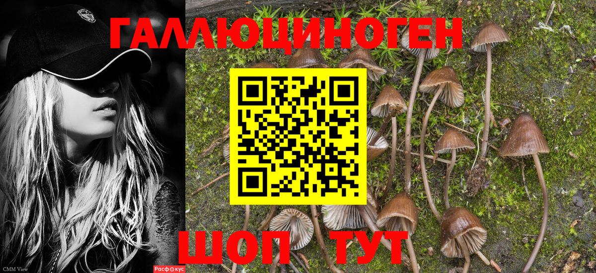 Стерлитамак  Псилоцибиновые грибы Magic Shrooms  Псилоцибиновые грибы GOLDEN TEACHER  Вход с VPN 